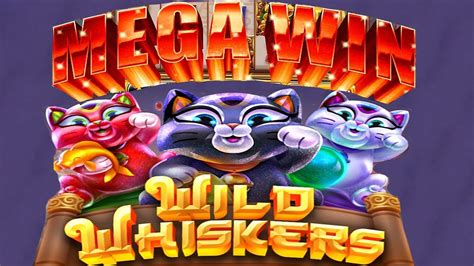 Whisker wins casino